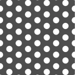 SC05