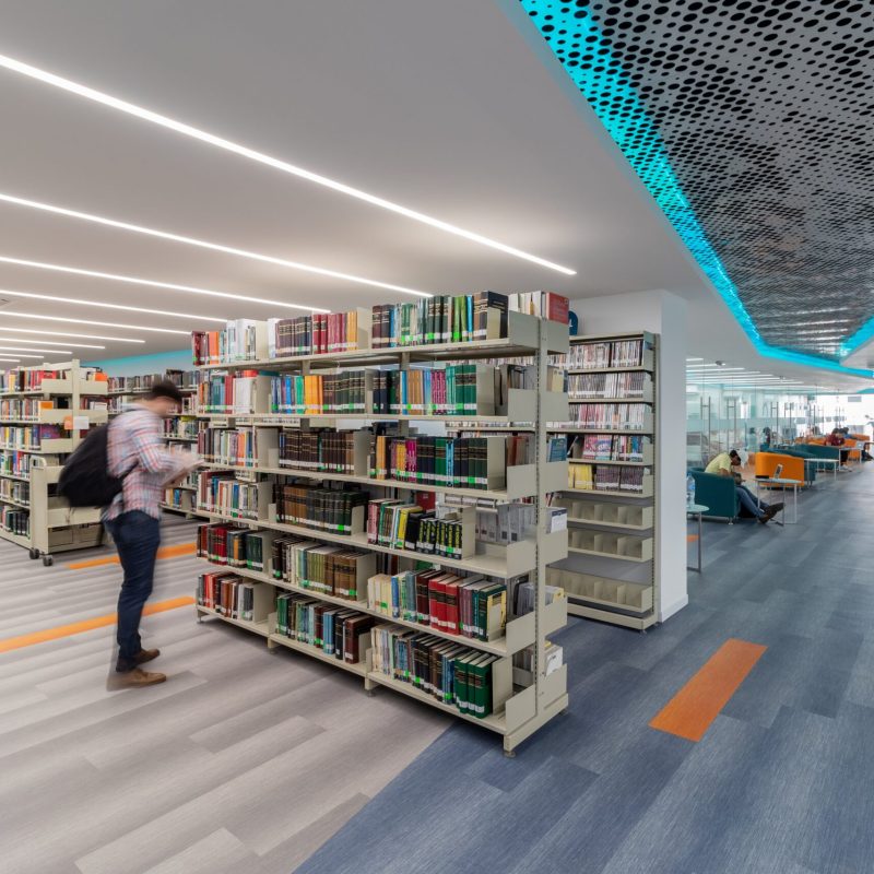 Biblioteca Mayab (6)
